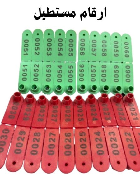 رقم غنم مستطيل